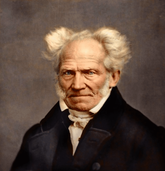 Além do Véu de Maia: Sofrimento e Redenção em Schopenhauer